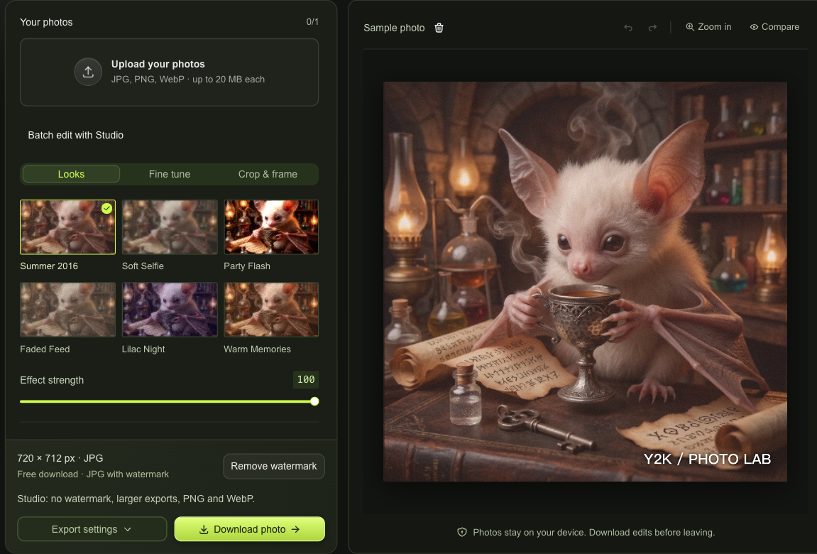 2016 Effects Online workspace with camera-roll looks, photo controls and download choices