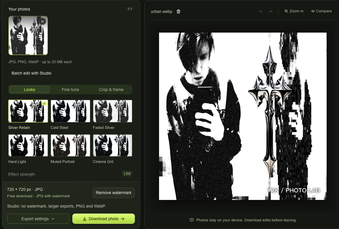 Bleach Bypass workspace with silver looks, a live photo preview and free or Studio download choices
